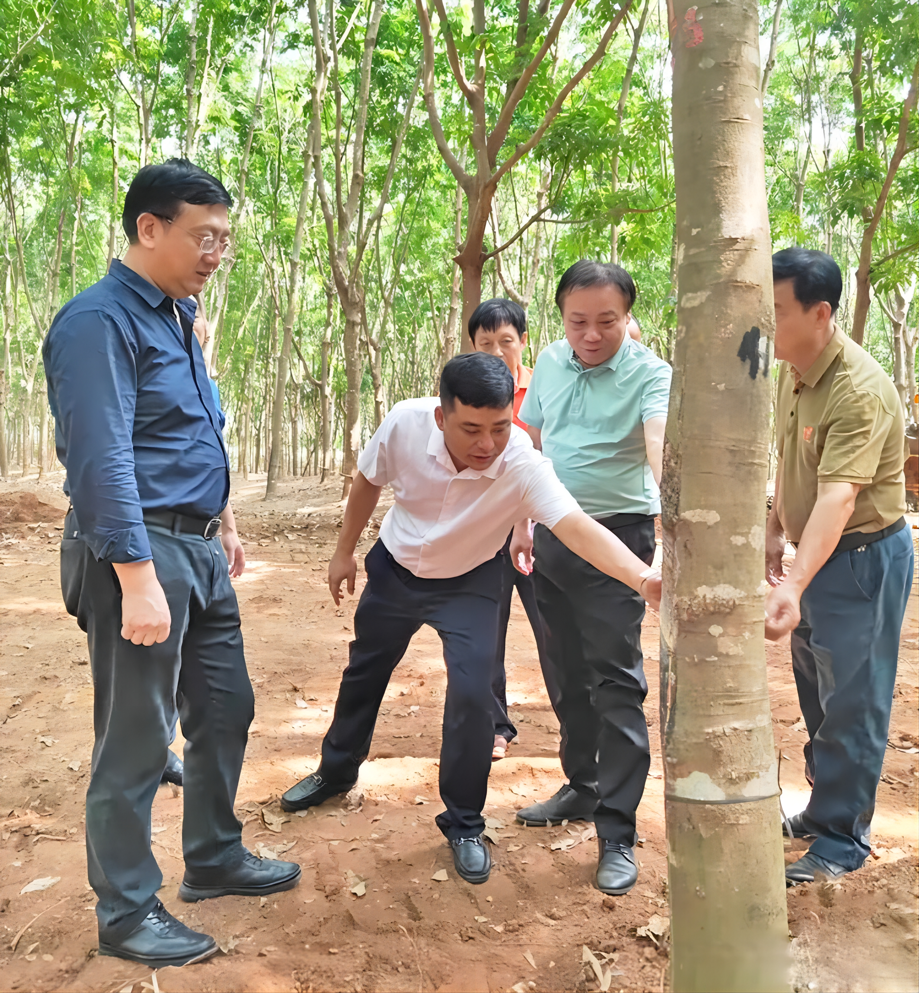 1713147893672077794.jpg 1713147893672077794.jpg