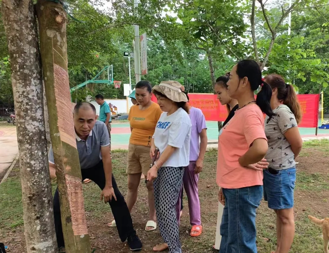 1717728752160047944.jpg 1717728752160047944.jpg