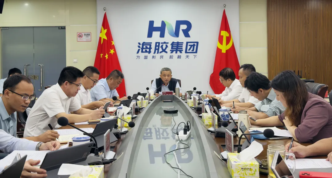 swag召开党委会（扩大）会议 研究部署经营管理、未规范管理土地整治等工作